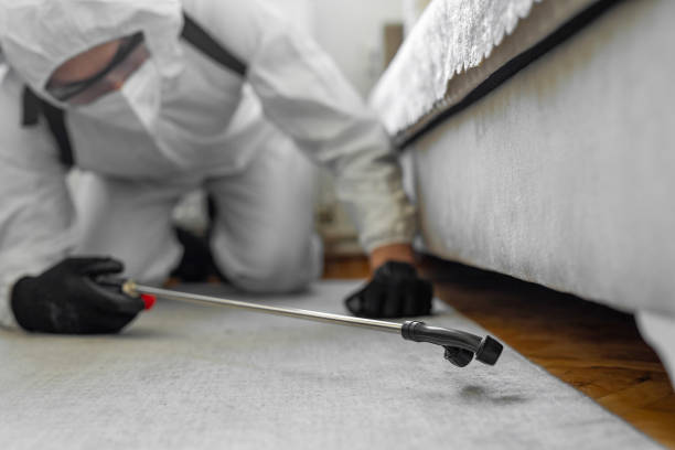 Professional Ant Control technician working in Lake Grove, NY